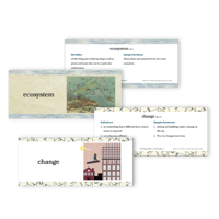 AL Knowledge Deck Cards