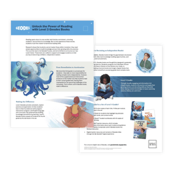 Geodes Level 3 Overview