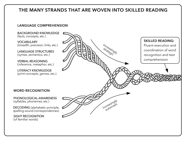 Illustration of the many strands that are woven into skilled reading by Dr. Hollis Scarborough